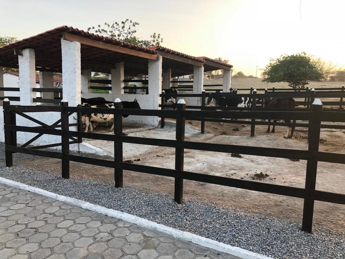 Flat 601 Condominio Villa Hipica - Gravata, Pe Bagian luar foto